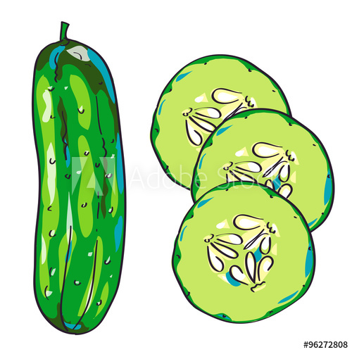 500x500 Vector Cucumber Sketch, Hand Drawn Illustration