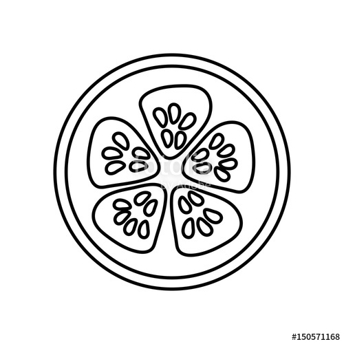 500x500 Figure Fresh Slice Of Cucumber Organ Vegetable Stock Image