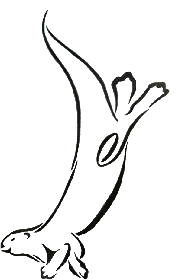 612x928 Collection Of Free Cuddling Drawing Otter Download On Ui Ex