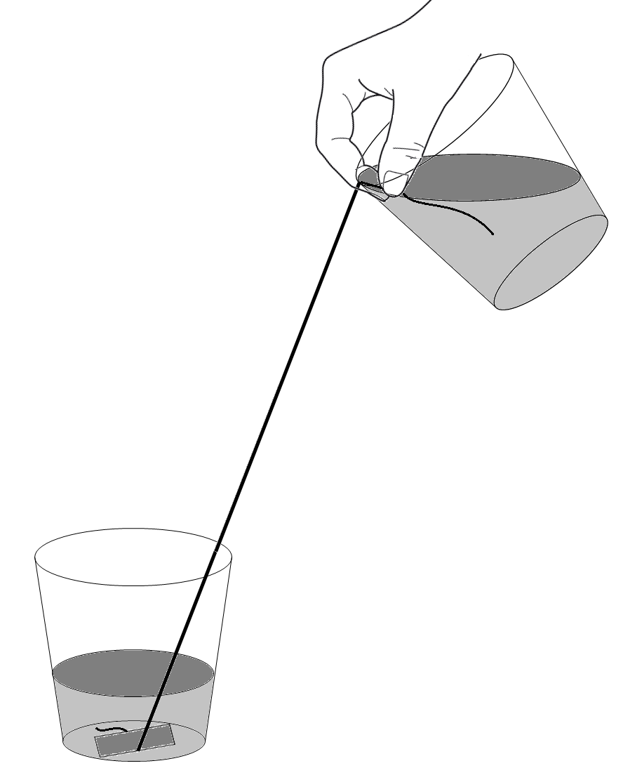 888x1094 sideways pour science world british columbia
