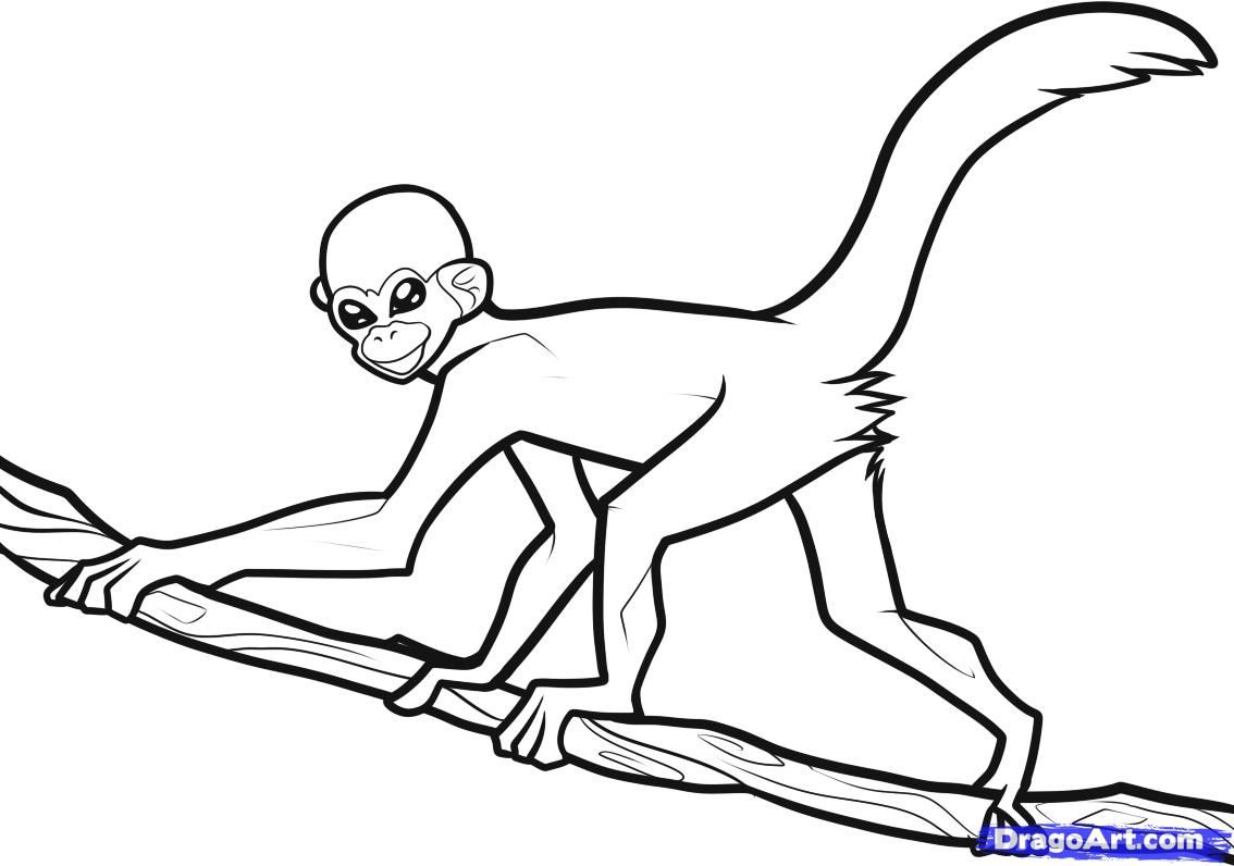 1134x796 Monkey Pictures To Draw Drawing Of A Curious George How