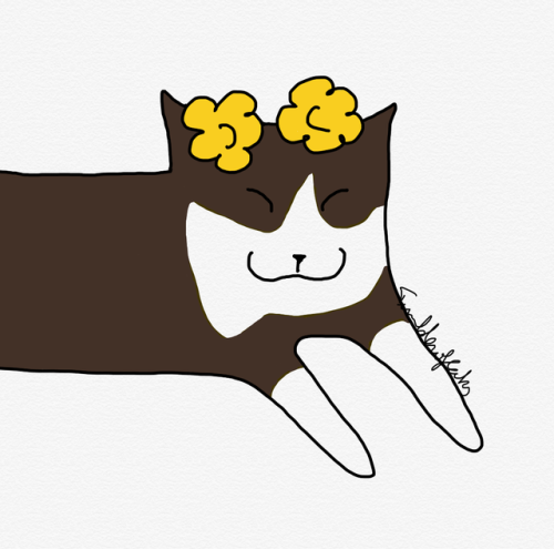 500x495 Cat Drawing Tumblr