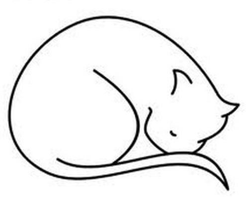 495x396 curled up kitty nose tucked into tail drawings simple cat