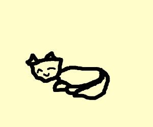 300x250 The Meaning Of Live