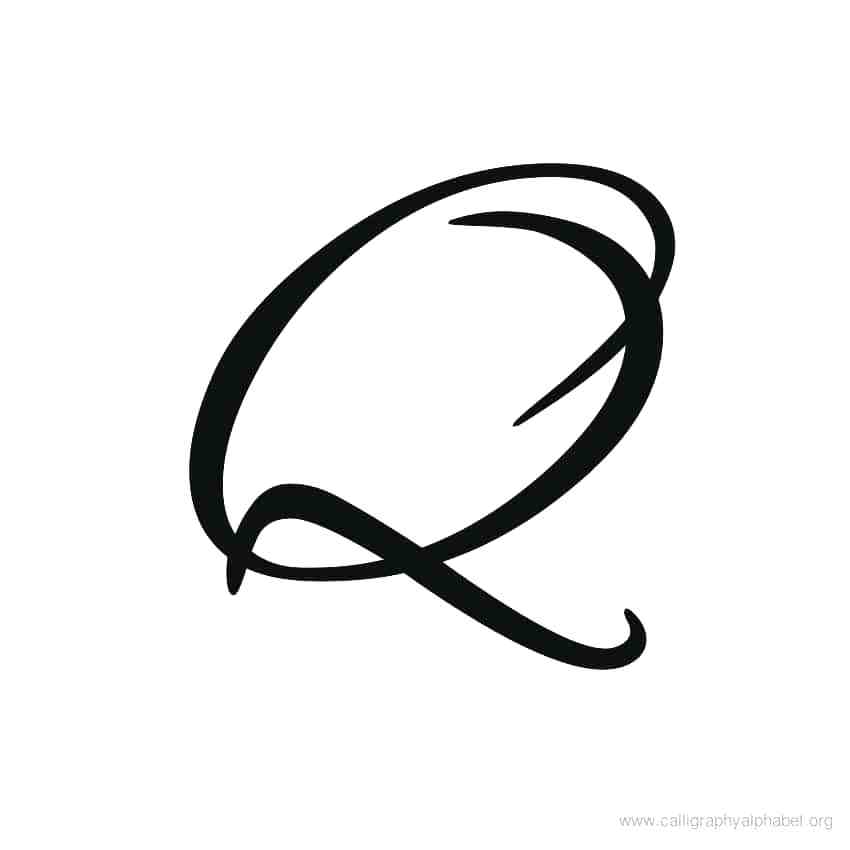 850x850 Capital Cursive Q Letter Learn How To Draw A Cartoon Parrot