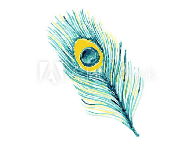 640x480 Free Drawn Feather, Download Free Clip Art