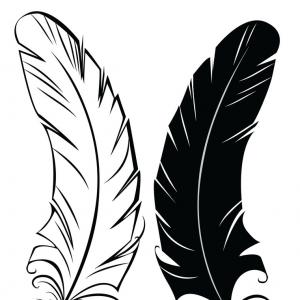 300x300 stock illustration hand drawn sketch feathers plumage fluff