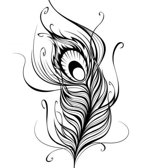 480x542 Peacock Tattoo Black And White