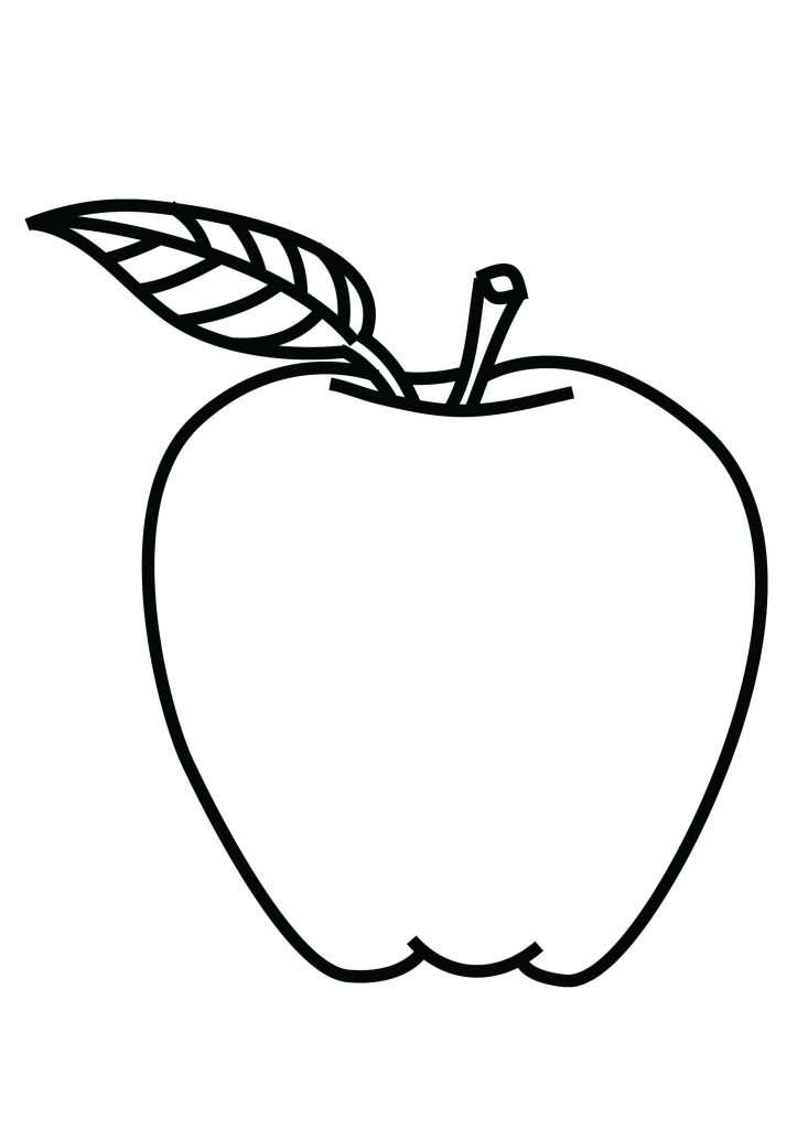 Custard Apple Drawing