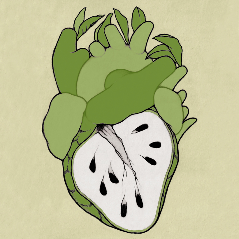 820x820 custard apple illustration domestika