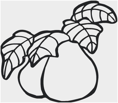 415x360 guava coloring pages great guava tree coloring pages custard apple