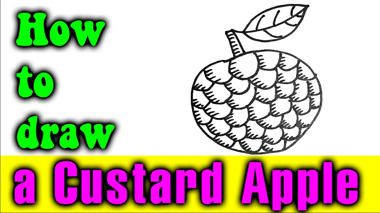 1280x720 how to draw a custard apple easy for kid