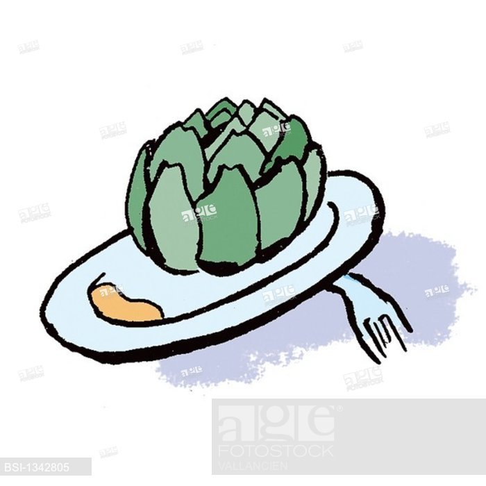 700x700 Artichoke, Drawing, Stock Photo, Picture And Rights Managed Image