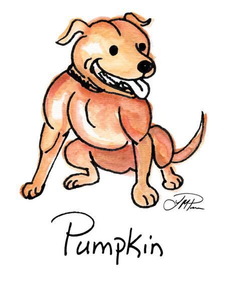 479x600 Custom Drawings Phebe N Me