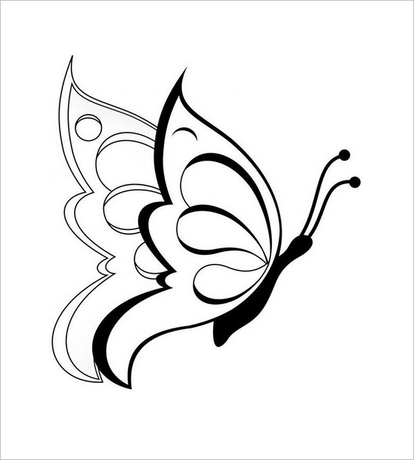 585x650 Butterfly Templates