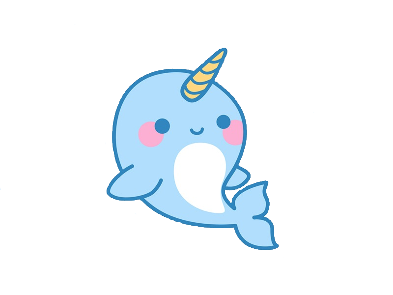 800x600 Collection Of Free Narwhal Drawing Cut Download On Ui Ex