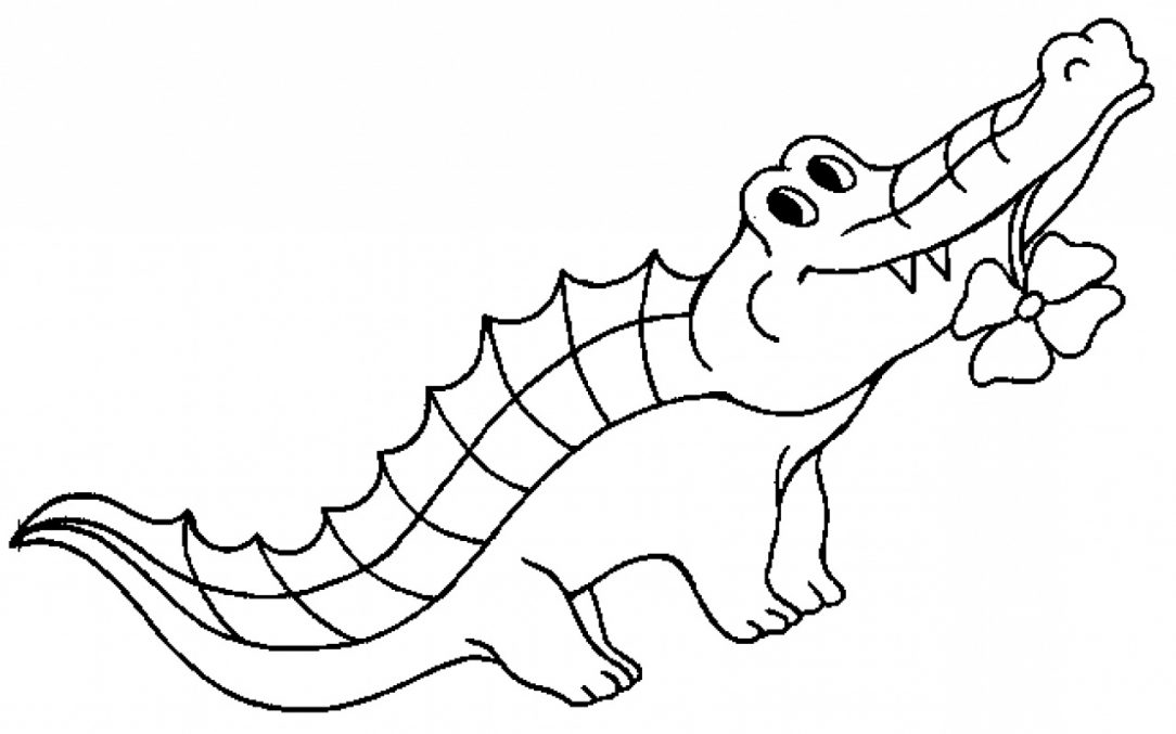 1084x677 Cute Alligator Coloring Pages Printable And Crocodile Realistic