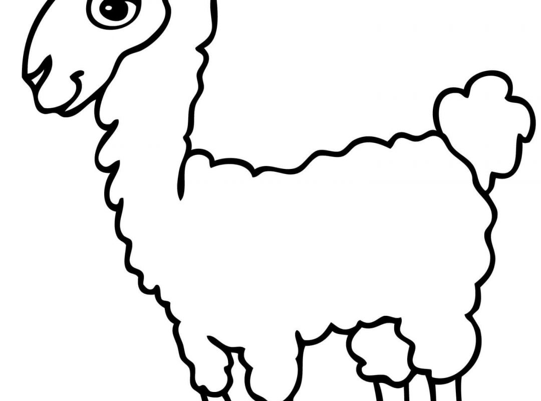 Cute Alpaca Drawing | Free download on ClipArtMag