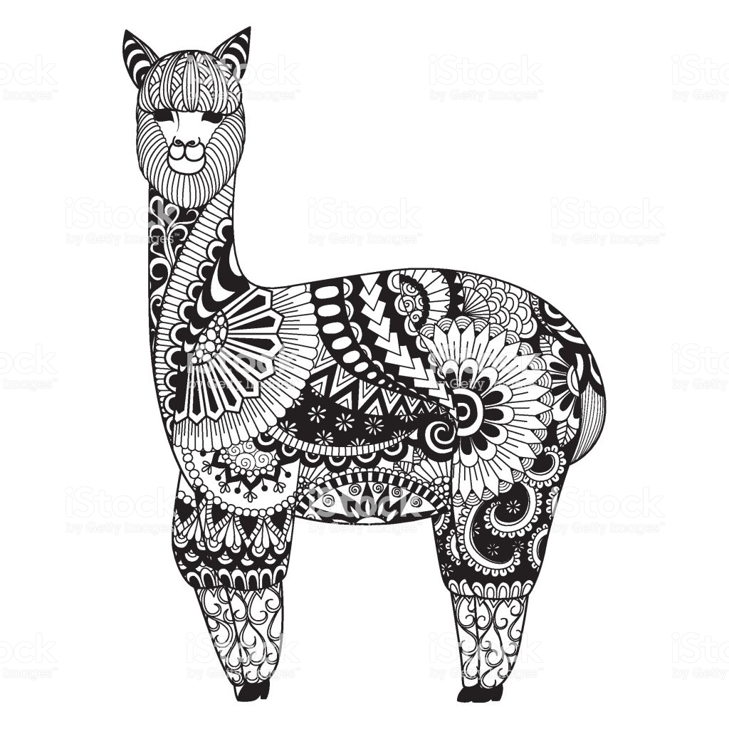 1024x1024 Huge Collection Of 'alpaca Line Drawing' Download More Than