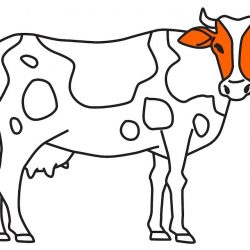 250x250 Animal Drawing Ideas Youtube Sketch Easy Cute Pdf Iydunetwork