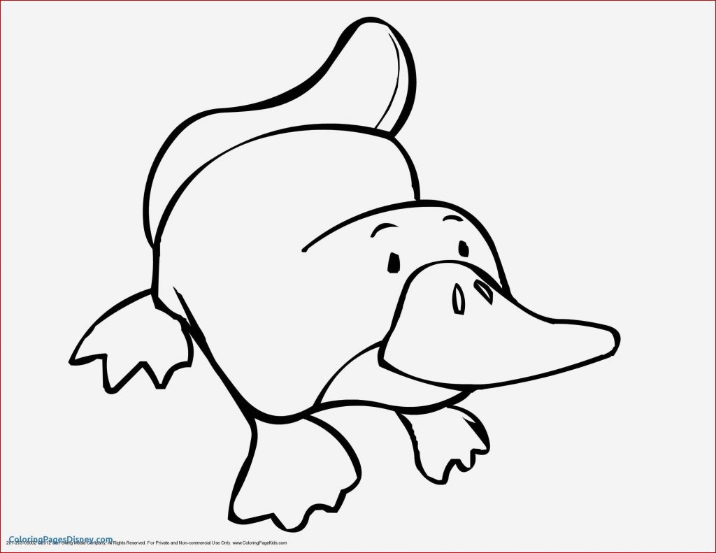 1024x791 Cute Animal Coloring Pages Free Puppy Coloring Pages Sample