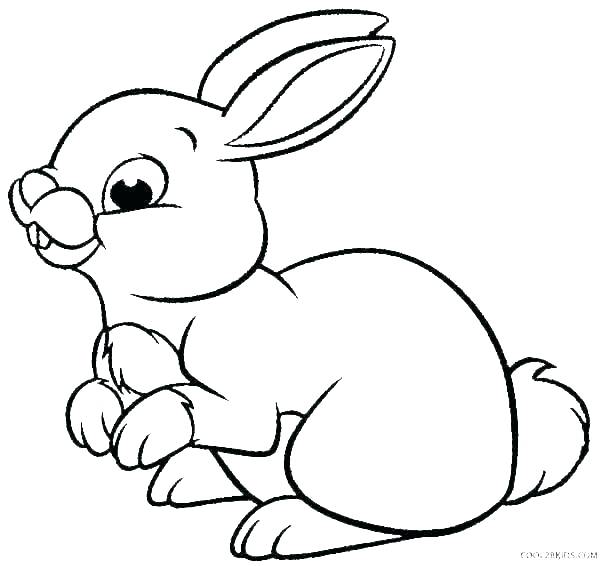 600x566 Coloring Pages Bunnies