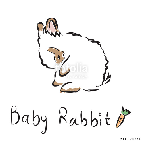 500x500 Vector Illustration Of Outline Lovely Bunny On A White Background