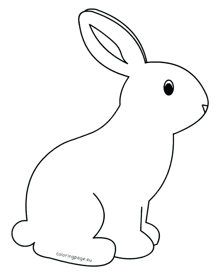 728x908 Bunny Color