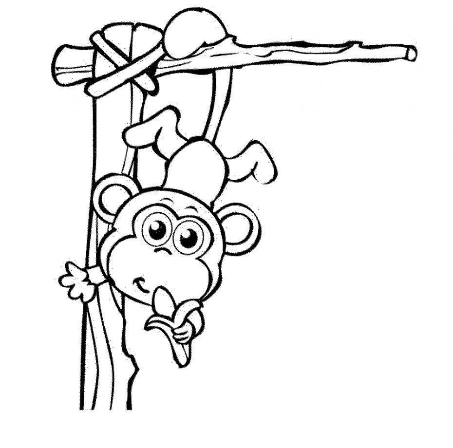 930x920 Cute Baby Monkeys To Draw Safari Wallpapers