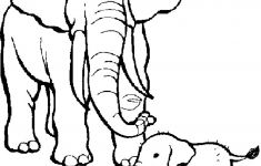 235x150 Cute Baby Elephant Drawing