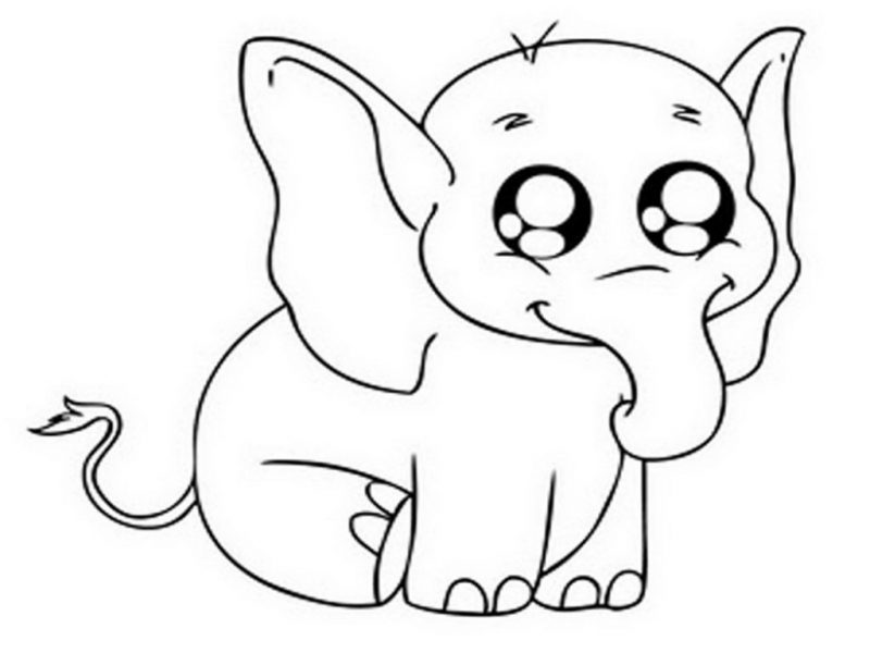 800x600 Download Cute Baby Elephant Coloring Pages Getwallpapers Us