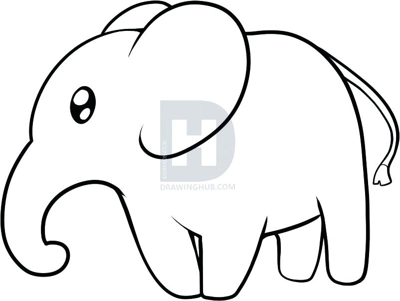 802x604 Fun To Draw Elephant