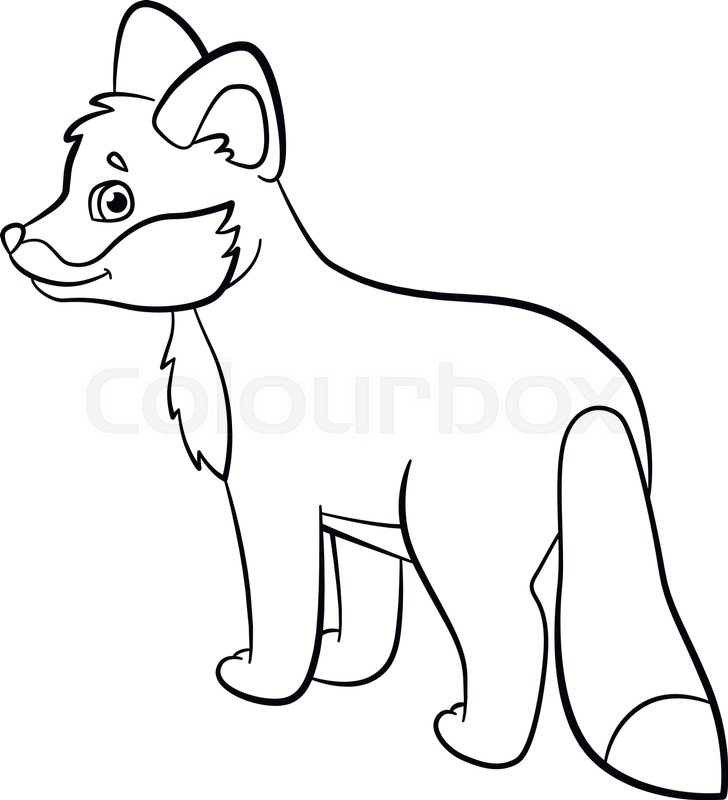 728x800 Coloring Pages Wild Animals Little Stock Vector Colourbox