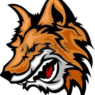 336x336 Cartoon Fox Line Drawing Baby Face Cute In Sly Of A Red Carmi