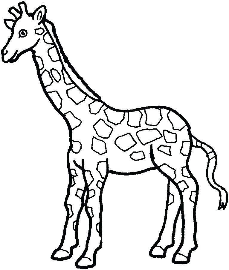766x900 Cute Baby Giraffe Coloring Pages Animals Dpalaw