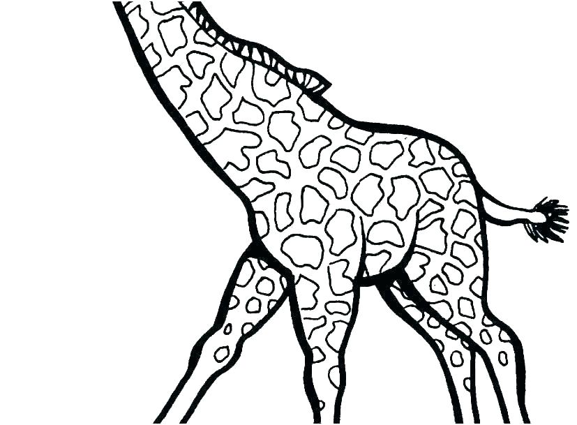 827x609 Baby Giraffe Coloring Pages Mother And Baby Giraffe Coloring