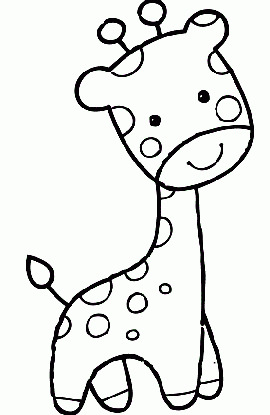 555x853 Baby Giraffe Coloring Pages