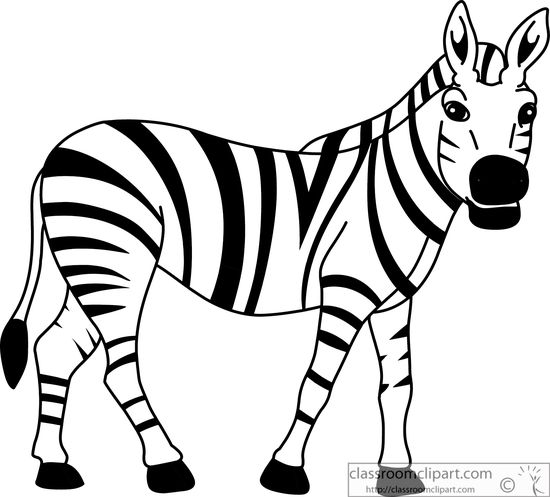 Cute Baby Zebra Drawing