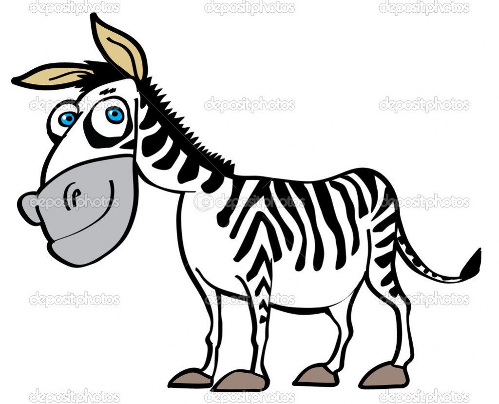 1024x829 Zebra Cartoon Drawing