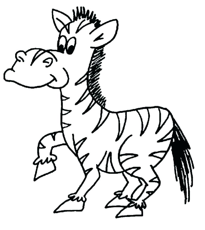 800x897 Zebra Pictures To Color Zebra Coloring Pages Free Printable Color
