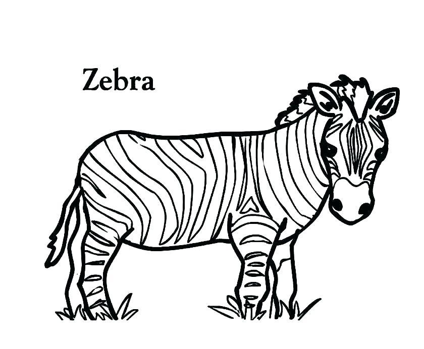 840x692 Baby Zebra Coloring Pages Coloring Pages Mother Zebra With Her