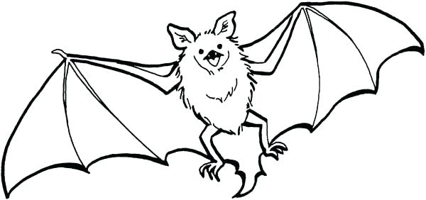 600x282 Free Cute Bat Coloring Pages Cute Bat Drawing At Free For Personal