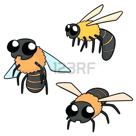 450x450 Bee Draw How To Draw From Bee And Step Cute Bumblebee Drawing