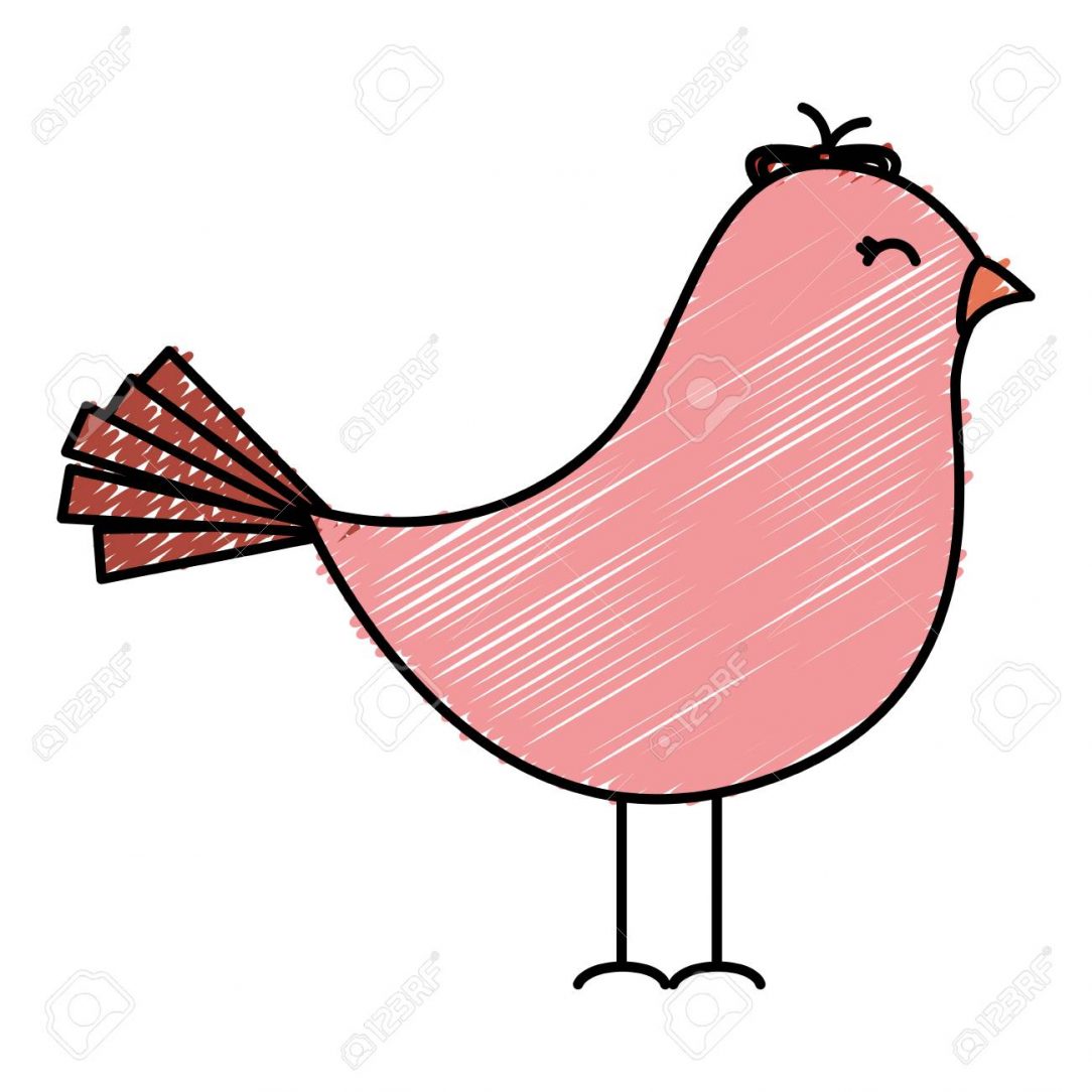 1084x1084 Cute Chibi Bird Drawing Tumblr Hummingbird Blue Design Kiwi Baby