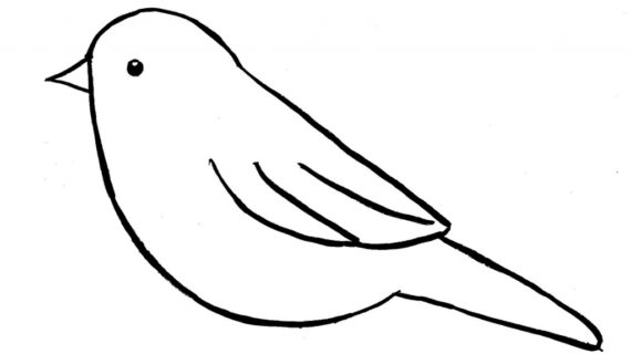 570x320 How To Draw A Cute Bird Easy