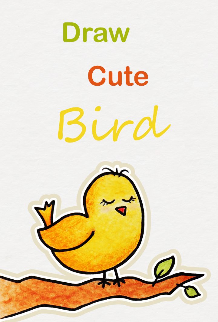 720x1064 Learn How To Draw So Cute Bird, Easy Step