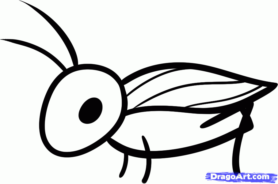 907x601 How To Draw A Cricket For Kids, Step