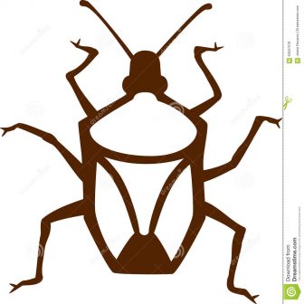 336x336 Scary Bug Drawings Cute Big Head Eye Cartoon Cat Card Draw Bird