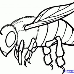250x250 Botanical Bug Cute Big Dog Drawing Bite Blood Corel Simple