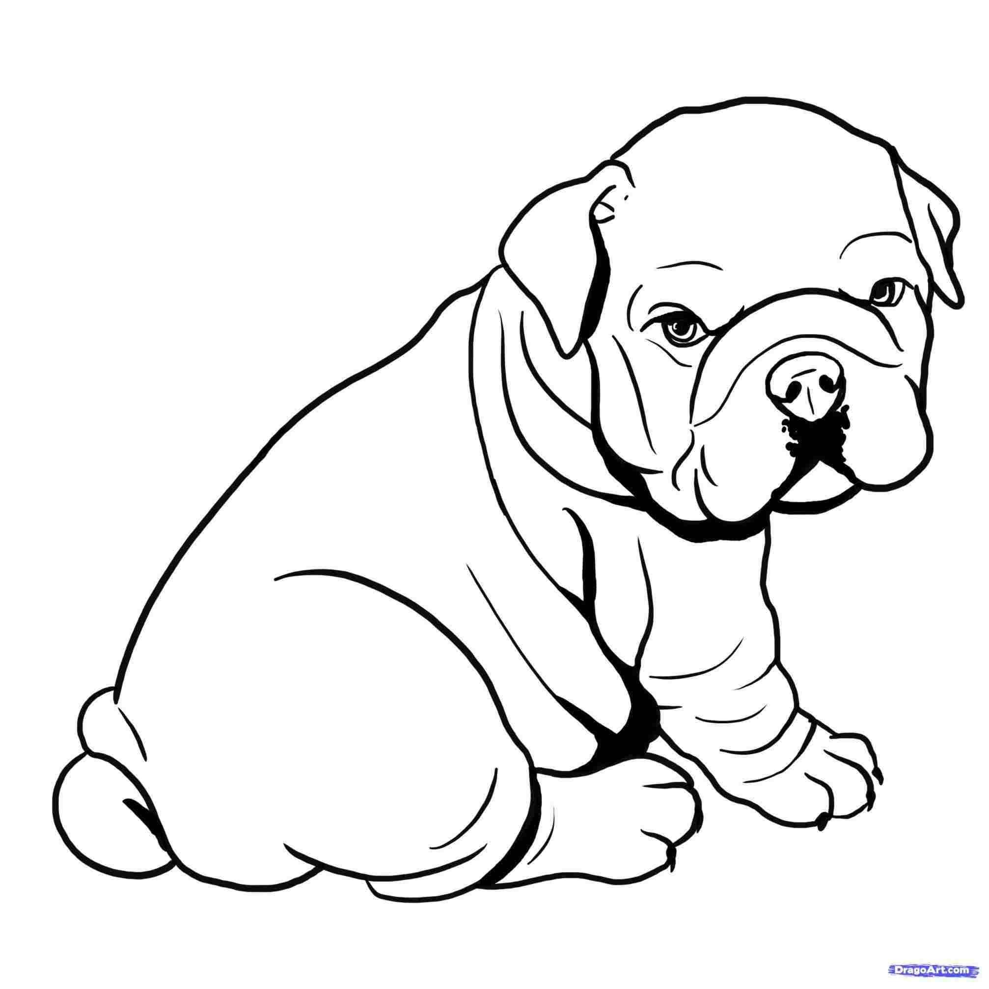 Cute Bulldog Drawing Free download on ClipArtMag